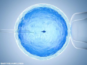 环境